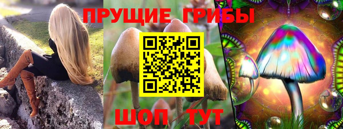 Псилоцибиновые грибы GOLDEN TEACHER  Галлюциногенные грибы мицелий  Тольятти  Вход с VPN 
